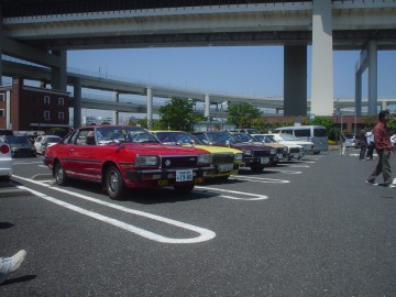 コスモばっかり